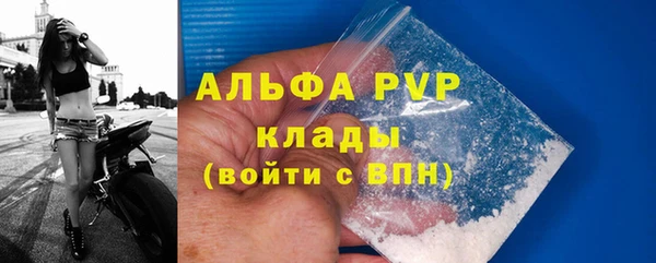 PSILOCYBIN Лагань