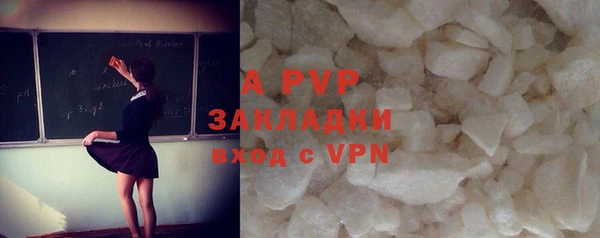 PSILOCYBIN Лагань