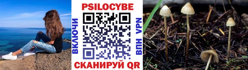Галлюциногенные грибы MAGIC MUSHROOMS  Людиново 